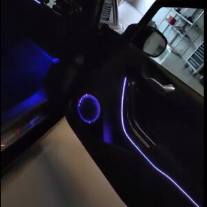 Ambient light ford fiesta mk8